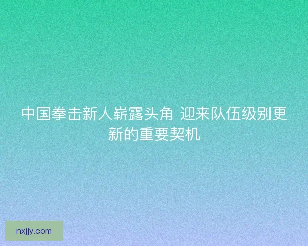 中国拳击新人崭露头角 迎来队伍级别更新的重要契机